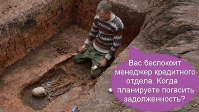 Весёлая коллекция номер 16. #юмор #анекдоты смотреть онлайн