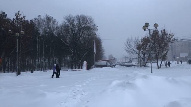 #Липецк. Снегопад 🌨 27.01.2019 смотреть онлайн
