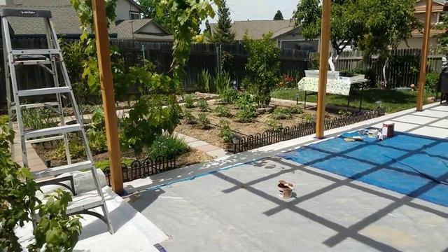 Шпалера для винограда руками мужа смотреть онлайн