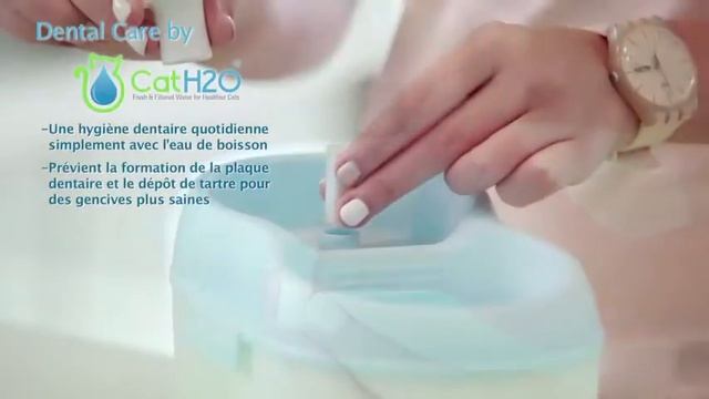 Cat H2O (français) смотреть онлайн