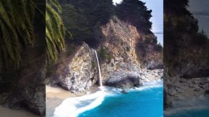 Дидье Маруани (подарок родом из Рио)