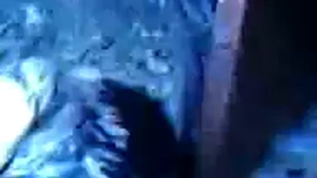 hamam смотреть онлайн
