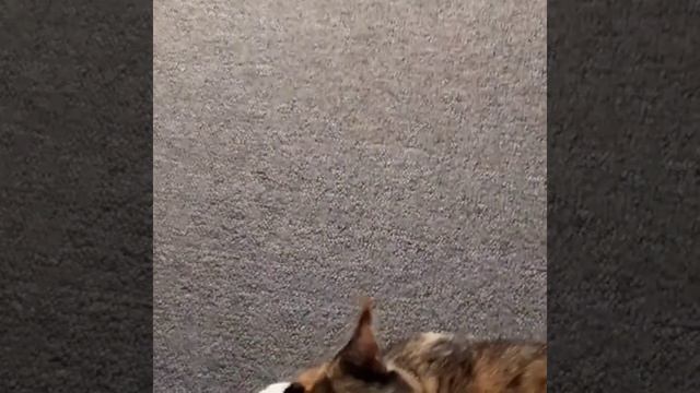 музыка для сна малышей смотреть онлайн