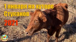#91 Первый день нового года на хуторе. Переезд в Краснодарский край.