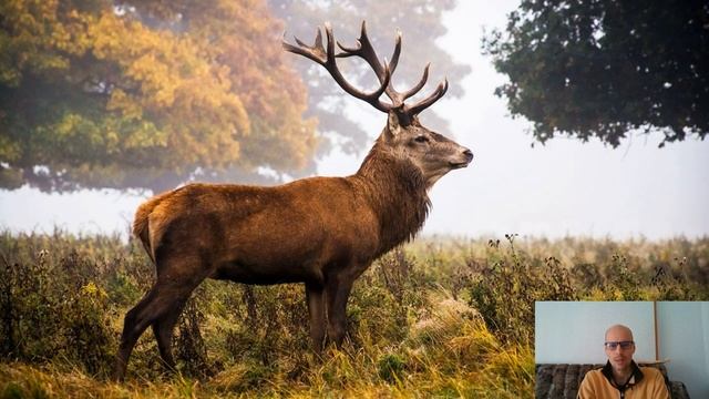 Беседа Кришны и Уддхавы. История про 24 гуру. ч2 смотреть онлайн