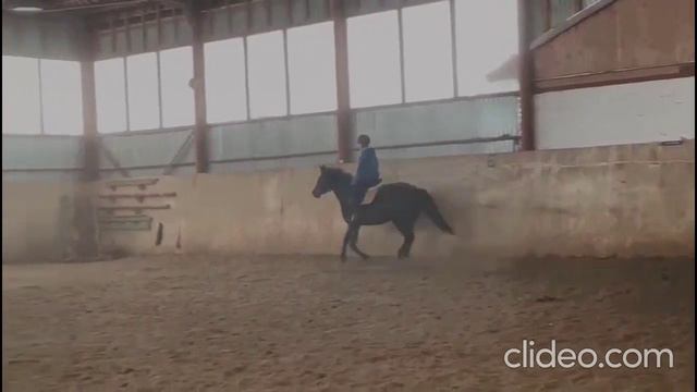 Батончик на ножках. Очень сладкий. Арт.: 0498