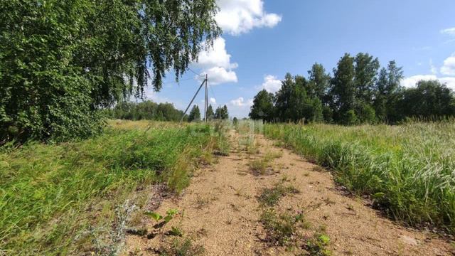 11293091 смотреть онлайн