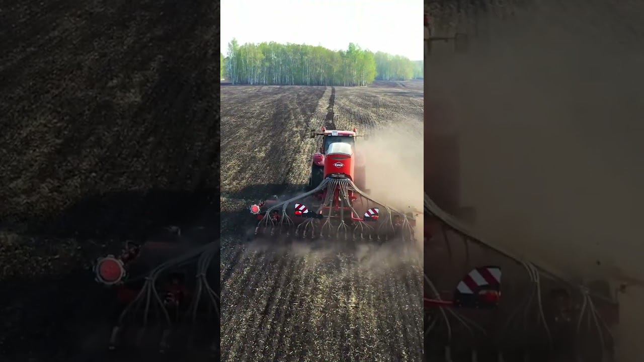 День год кормит! #фермер #сельхозтехника #агробизнес смотреть онлайн