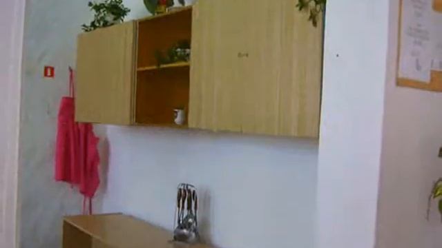 #ТОПШкола Витимская средняя общеобразовательная школа село Романовка смотреть онлайн