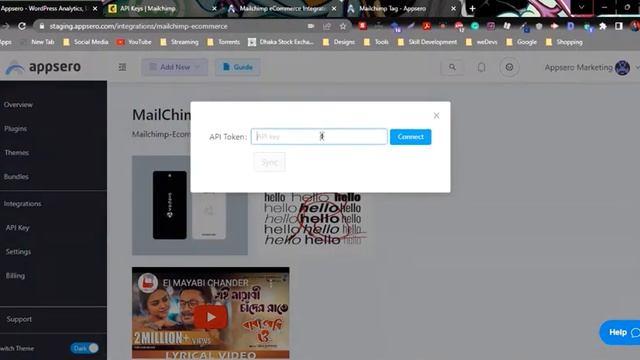Mailchimp eCommerce Integration with Appsero for WordPress Plugin Management смотреть онлайн