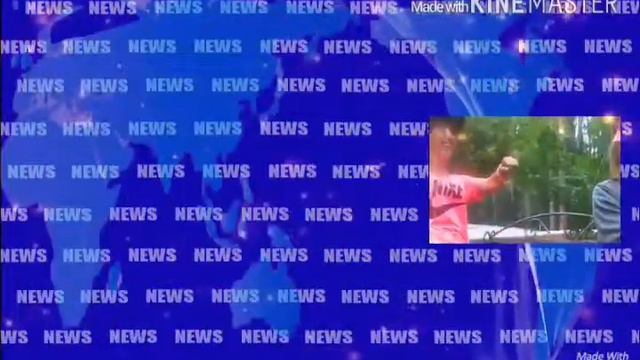 Revoльvers-Котёнок.