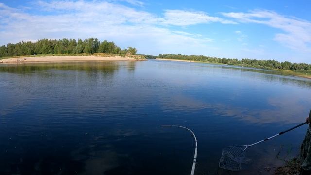 Сазанчик на донку смотреть онлайн