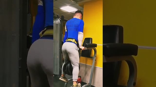 отжимания на брусьях с дополнительным весом смотреть онлайн