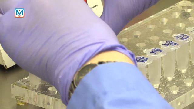 Число больных ОРВИ растёт смотреть онлайн