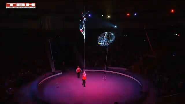 Цирк забавных зверей