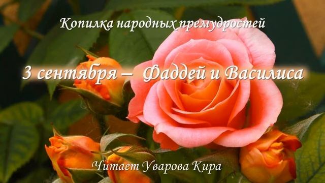 3 сентября - Фаддей и Василиса смотреть онлайн