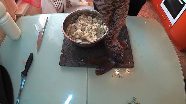 Фаршированная щука смотреть онлайн