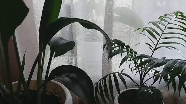 Строймарафон