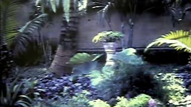 South East Asian Landscape Design, part 3.m4v смотреть онлайн