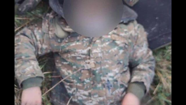 А КТО НАС ПОЖАЛЕЛ?... смотреть онлайн