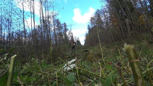Биотехника, чистка просеки, уборка камней смотреть онлайн