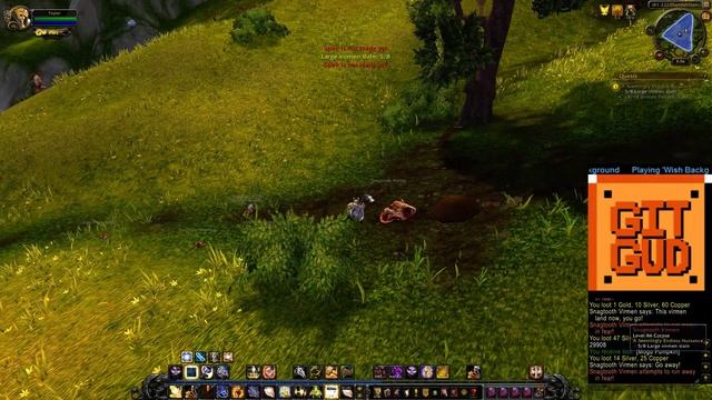 World of Warcraft Quest Guide: A Seemingly Endless Nuisance ID: 29908 смотреть онлайн
