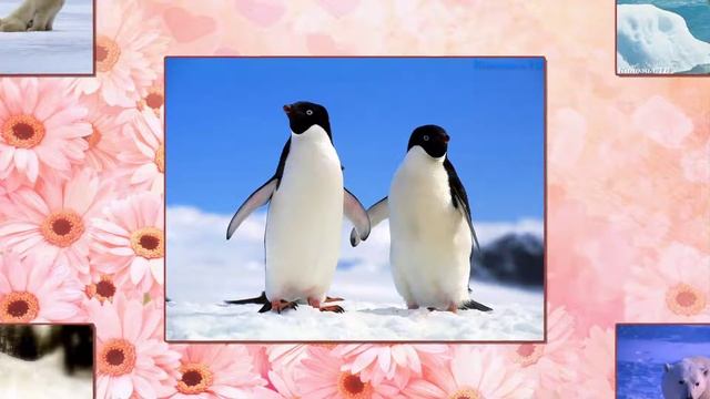 На заказ. Год семьи, годик ребенка с фото по месяцам (образец №6)