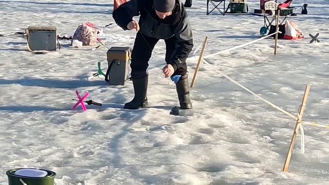 23.03.23 КРХ Белая Дача ,запуск форели и клёв !До запуска ловится увесистая форель! смотреть онлайн
