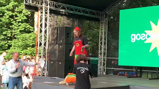 Фестивали Petshop days и Четыре лапы//Any Magic//Боня участвует в модном показе//баллончик Kong смотреть онлайн