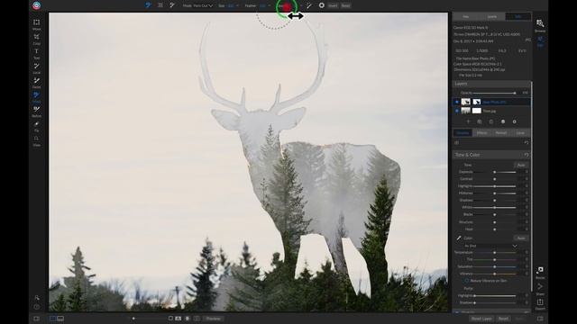 Masking and Creative Compositing смотреть онлайн