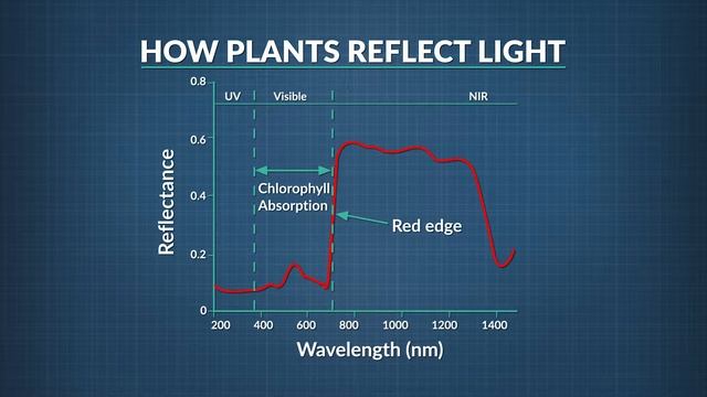 What Is Color? | Physics in Motion смотреть онлайн