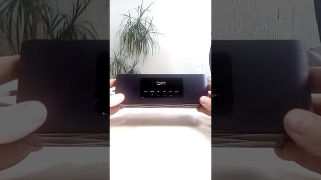 Колонка MUSKY DY - 22 смотреть онлайн