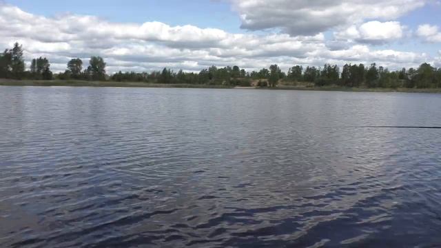 рыбалка 2023 на удочку ловля подлещика летом на опарыша смотреть онлайн