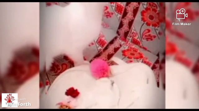 Ailurophobia & Exposure Therapy смотреть онлайн