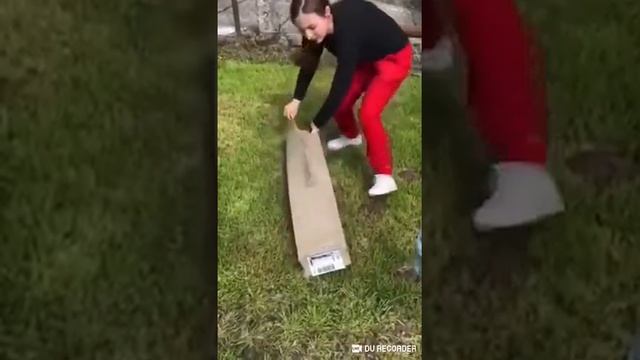 Хурма. Распаковка саженцев Хурмы на виргинском морозостойком подвое "Божий дар" высший сорт смотреть онлайн