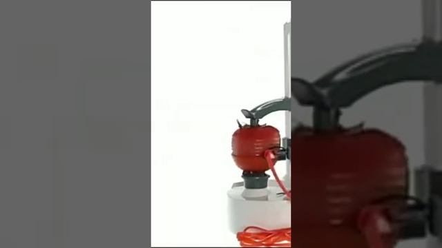 Electric Fruit Vegetable Potato Peeler Automatic V #short смотреть онлайн