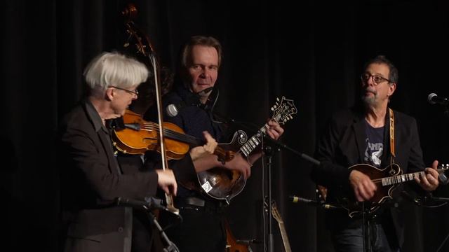 Dawg's Bull - Mike Marshall, Darol Anger, Radim Zenkl, Ondra Kozák, Ned Luberecki & Lucas Henri