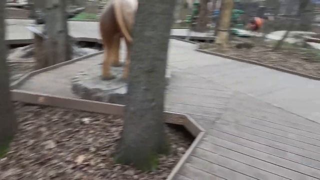 Кузьминский Лесопарк, волшебная страна, резиденция деда мороза! смотреть онлайн