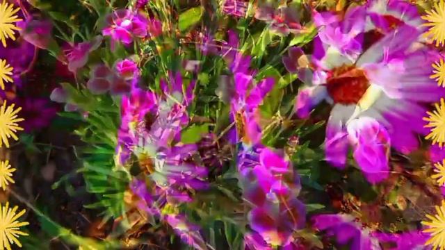 ???Доброго утра благословенного дня??музыкальное пожелание мира?счастья?здоровья?веры?надежды?любви смотреть онлайн