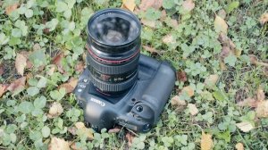 Canon 24-70mm f/2.8L USM - настоящий профессионал!