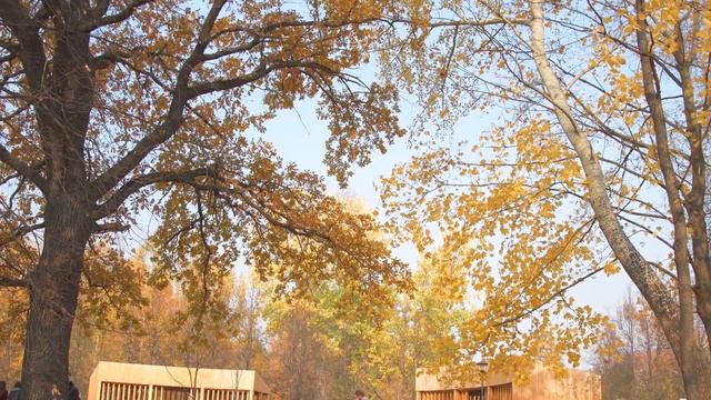 Nikon d 7500 4k смотреть онлайн