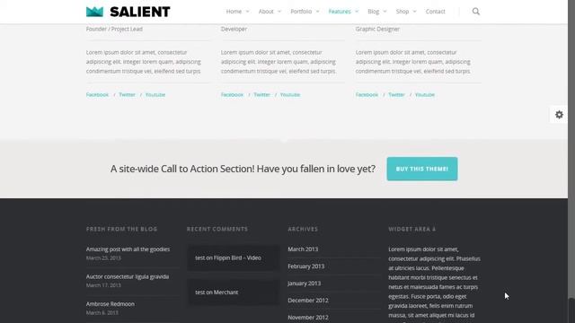 Best Wordpress theme Salient Review Demo - Responsive Portfolio & Blog Wordpress Theme смотреть онлайн