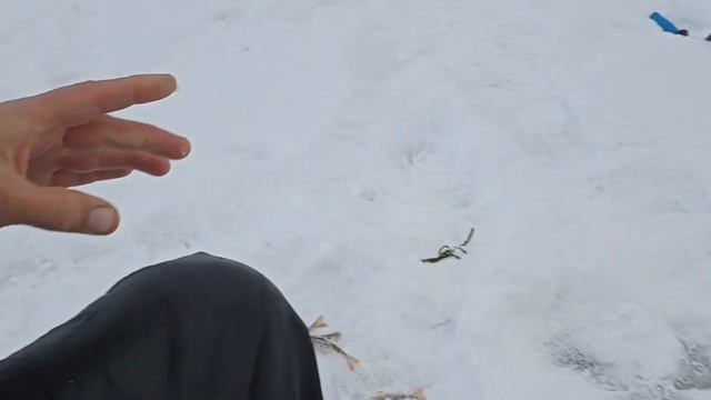 Зимняя рыбалка в г.Лысьве на окуня! 5.12.22г! смотреть онлайн