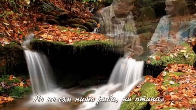 В стих след стих ( Max Greger - Wenn ein Stern vom Himmel f llt ) смотреть онлайн