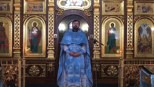 Проповедь в праздник Сретения Господня смотреть онлайн