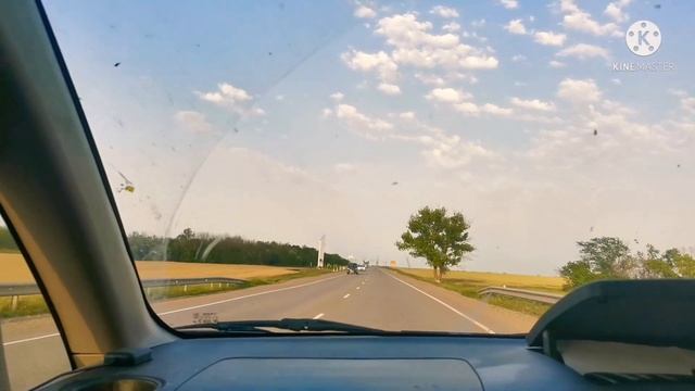 ?Саликовы. Ейск. Море. Много змей.? Местные пацаны. Для истории!! 21 июня 2021 г.?