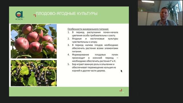 Особенности питания плодово-ягодных культур смотреть онлайн