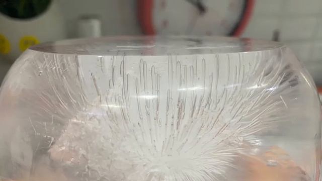 Талая вода в домашних условиях Эксперимент смотреть онлайн