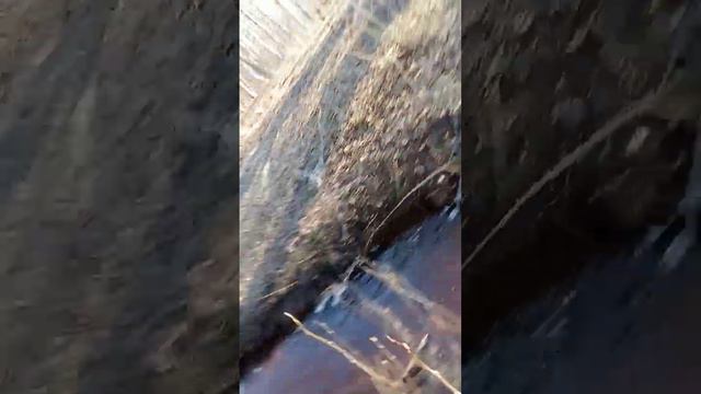 надо быть ближе к природе часть 1 смотреть онлайн