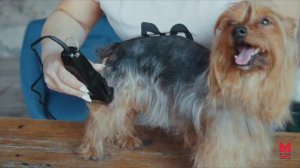 Moser 1400 1400-0075